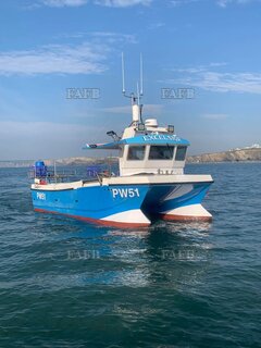 8m Cougar Catamaran - Excelsior - ID:126990