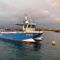 8m Cougar Catamaran - picture 2