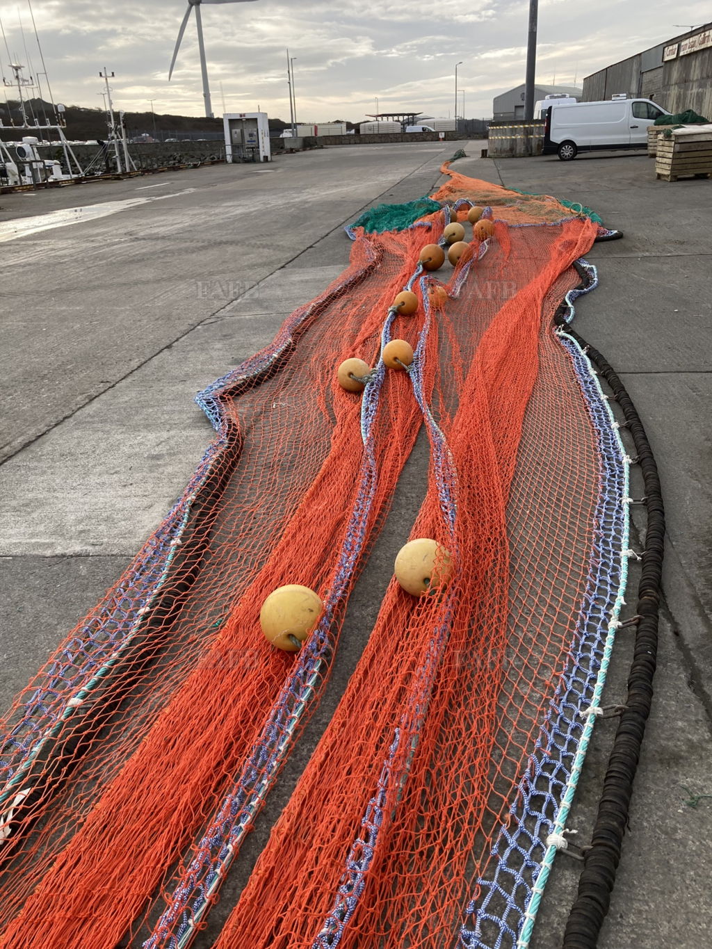 Boris net and Half Quad for Sale