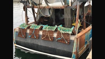 Four a side Read Scallop Gear for Sale