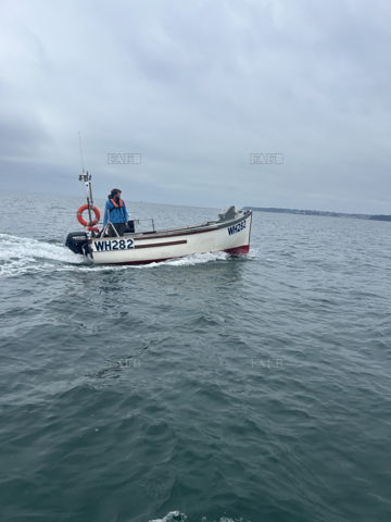 Main picture for advert 146993