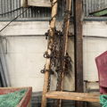 Thumbnail for picture 5