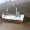 Extra picture for advert 146993