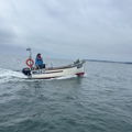 Extra picture for advert 146993