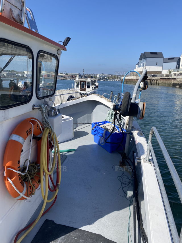 Large picture for advert 142995