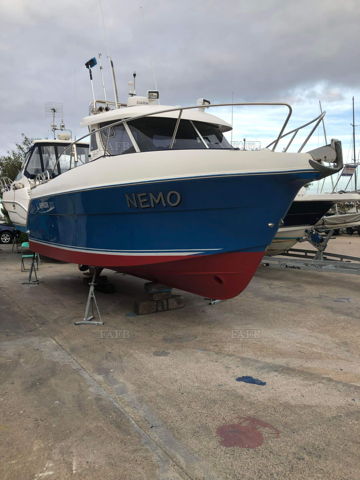 Nemo