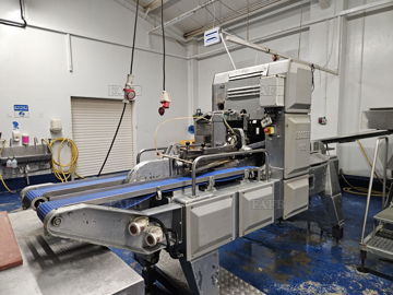 Filleting machine