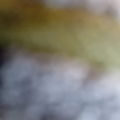 Extra picture for advert 148999